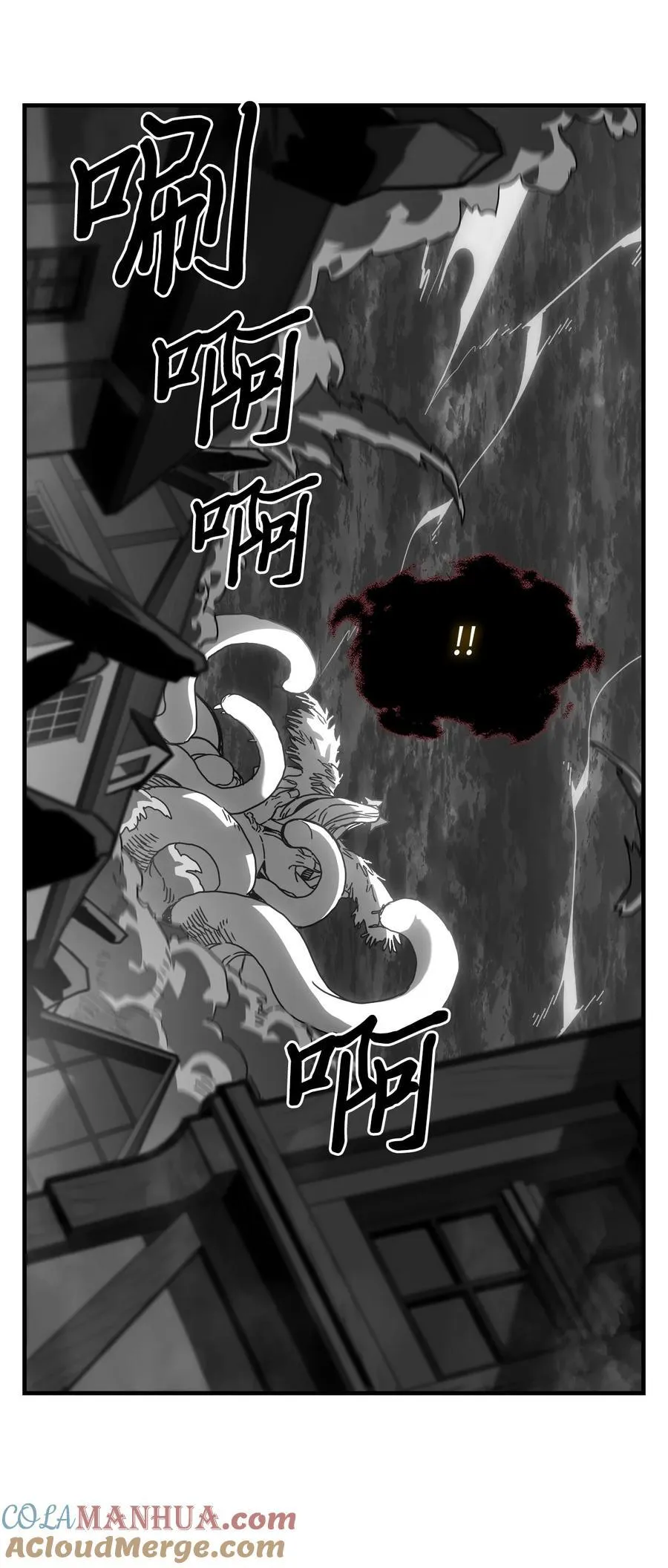225 225 第55页