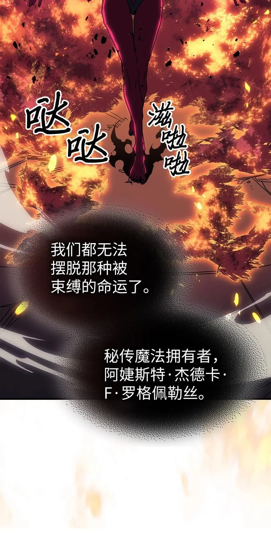 241 241 第17页