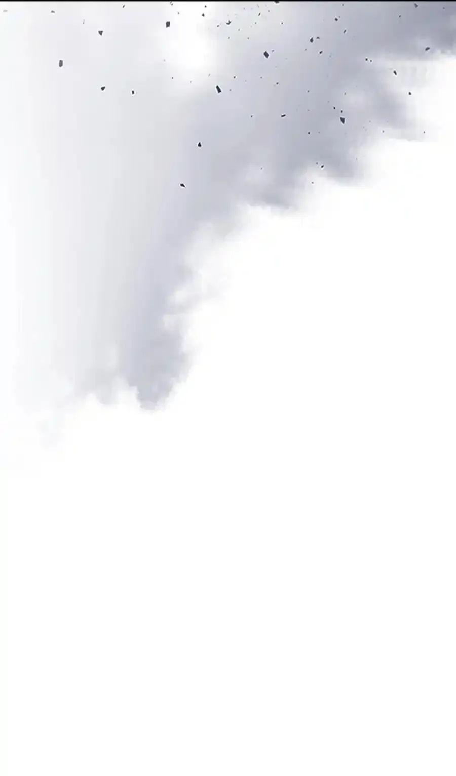 242 242 第98页