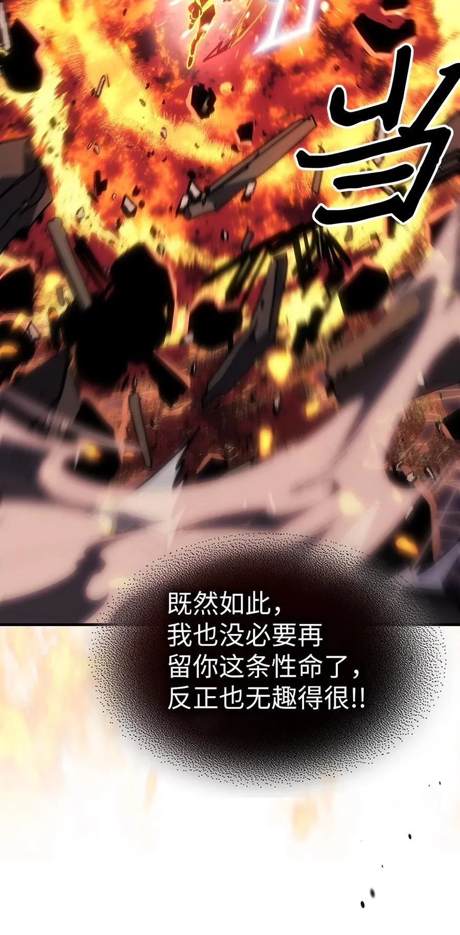 243 243 第48页