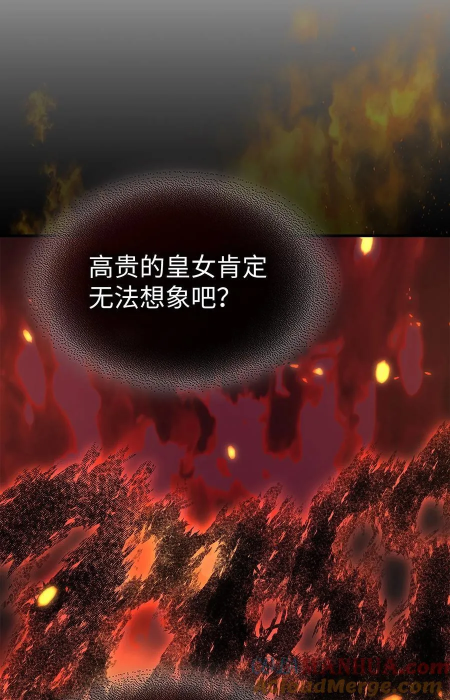 243 243 第61页
