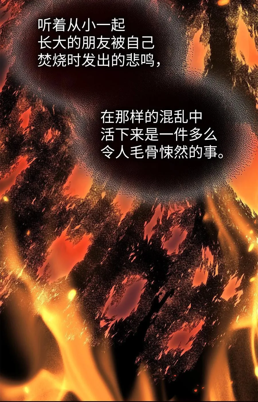 243 243 第62页