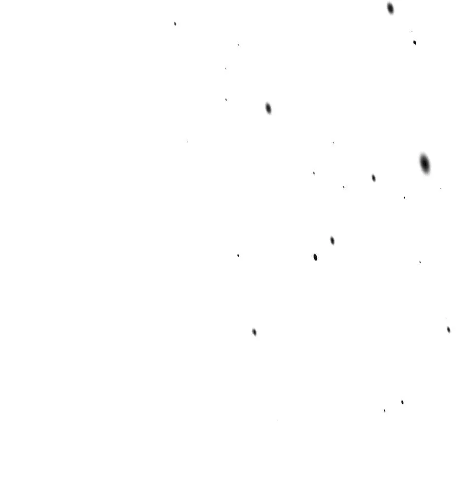 248 248 第60页