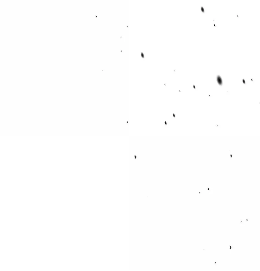 251 251 第78页