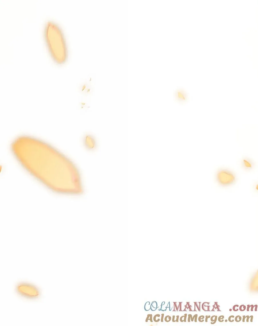 260 260 第58页