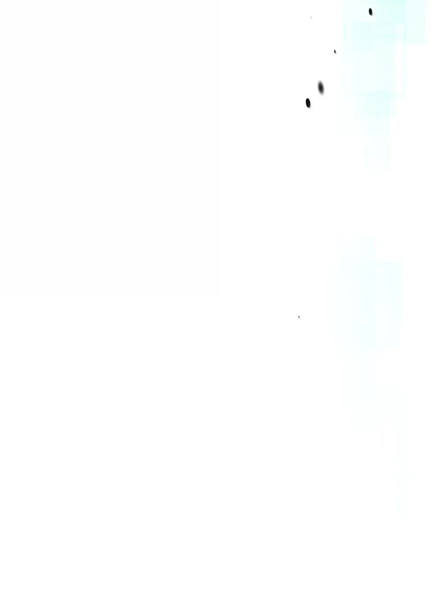 262 262 第87页
