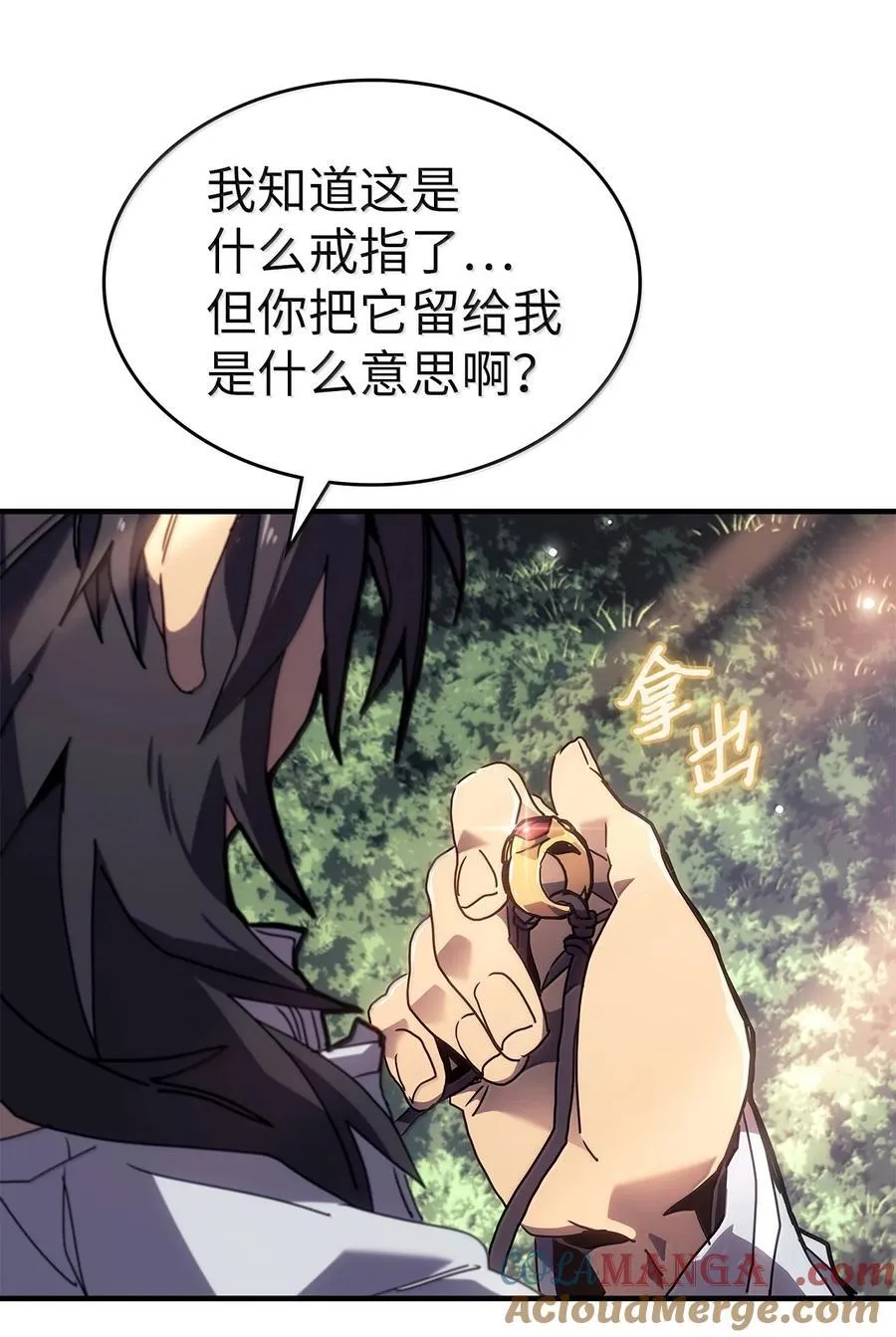 265 265 第40页