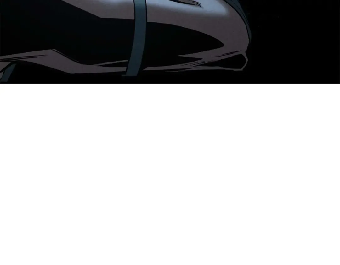 第53话 被亲情背叛的精灵 第101页