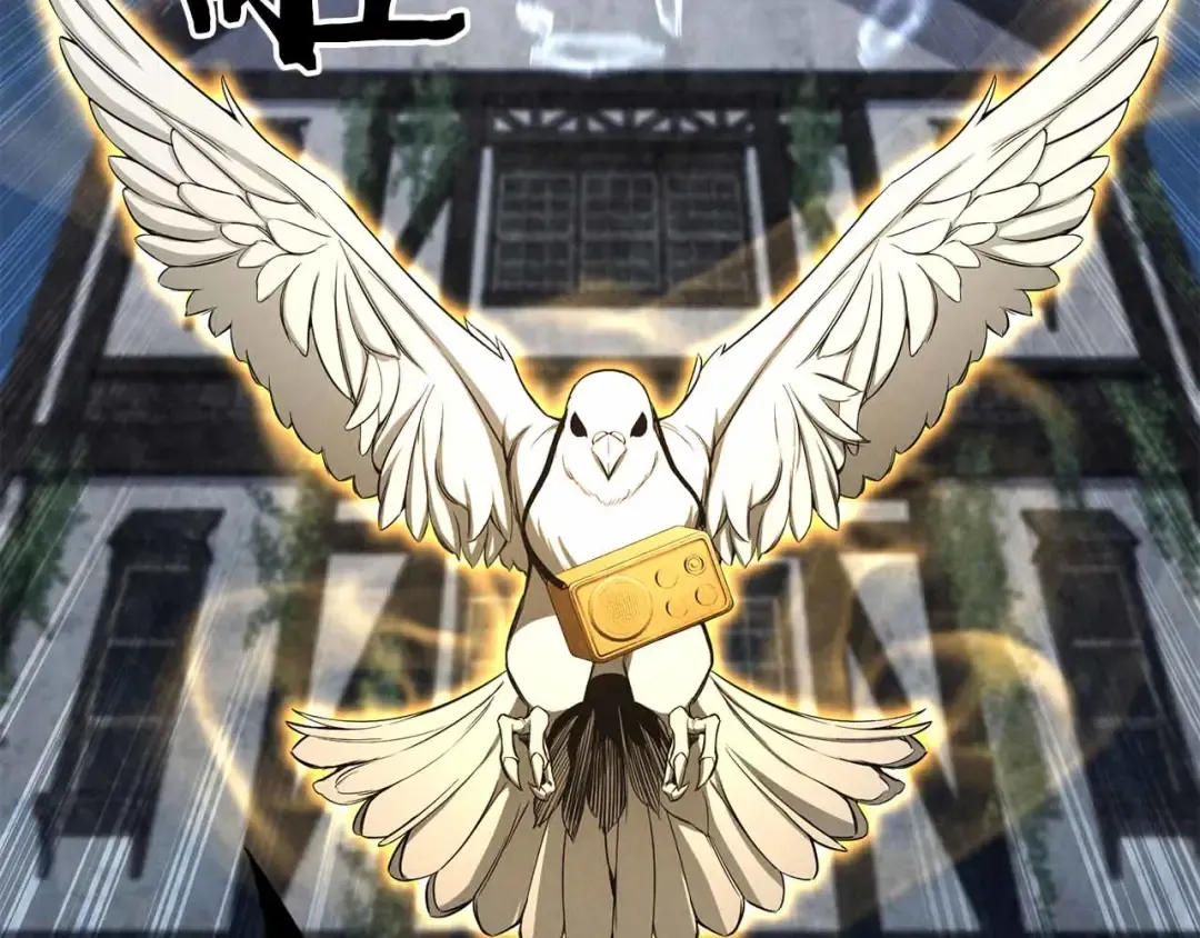第54话 出其不意的突袭 第244页