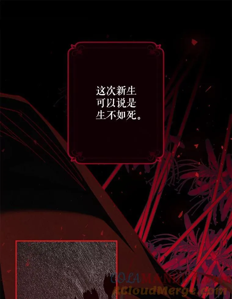 7.觐见诅咒 第17页