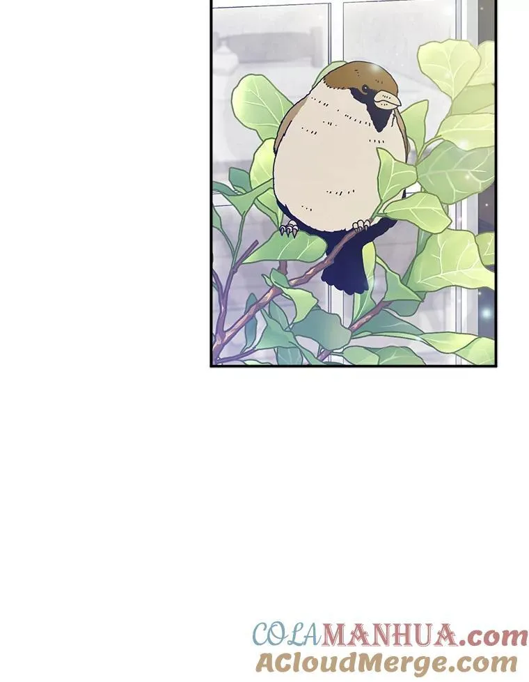 9.访问疯狂 第61页