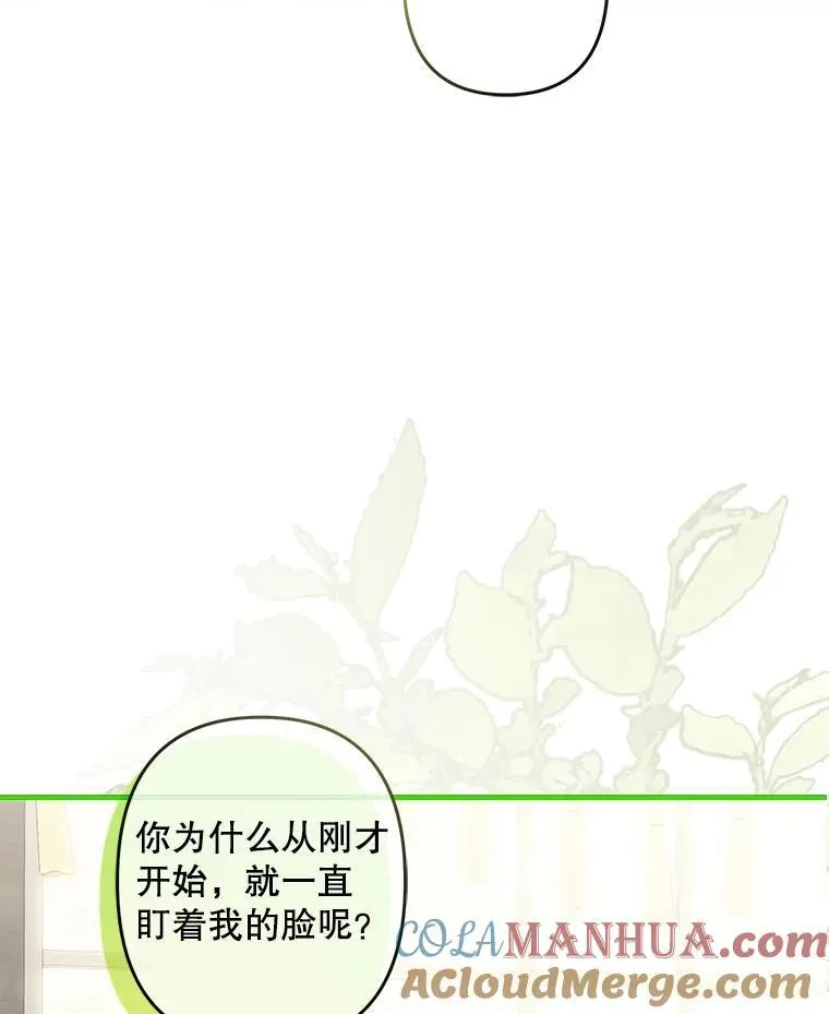 20.问道于花 第37页