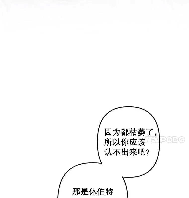 20.问道于花 第86页