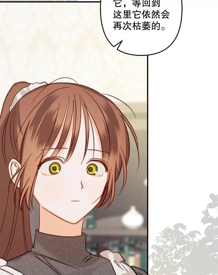 20.问道于花 第100页