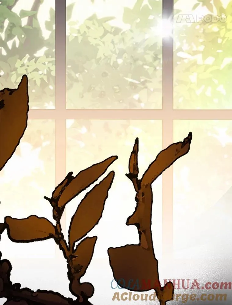 20.问道于花 第113页