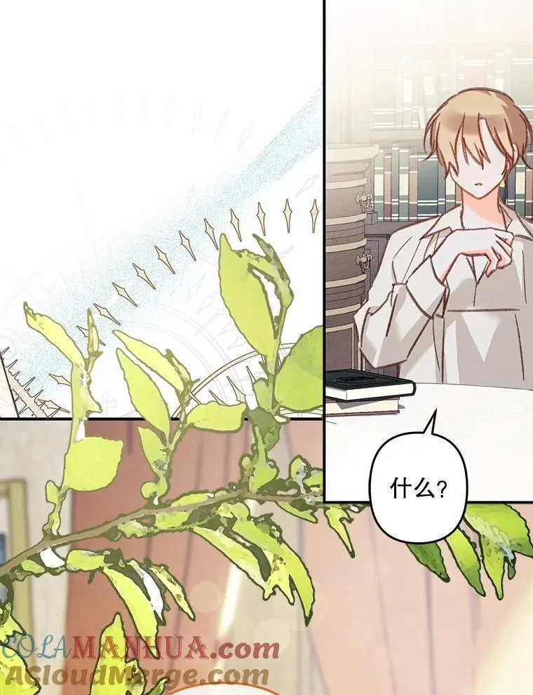 20.问道于花 第125页