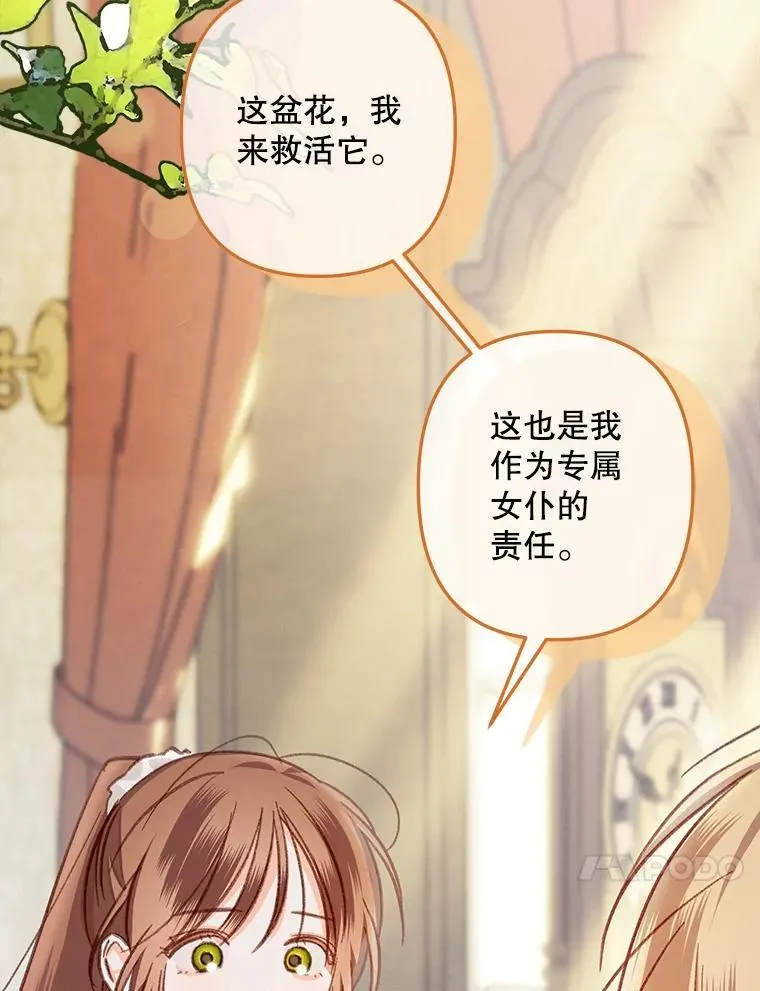 20.问道于花 第126页