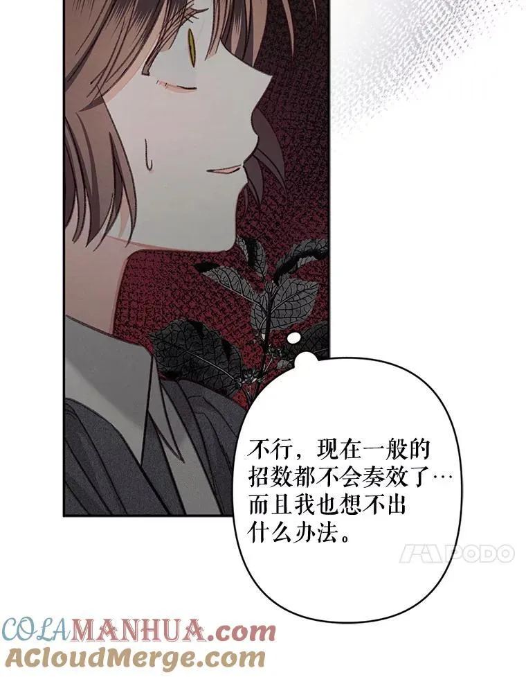 25.特别的茶 第21页