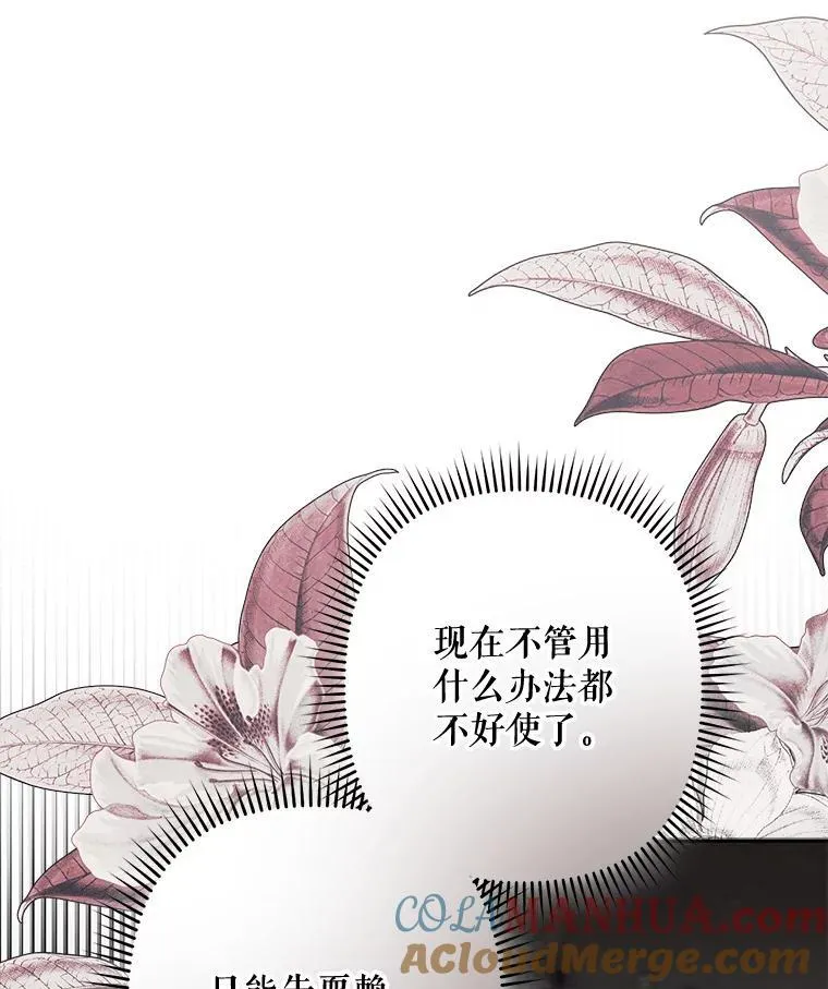 25.特别的茶 第45页
