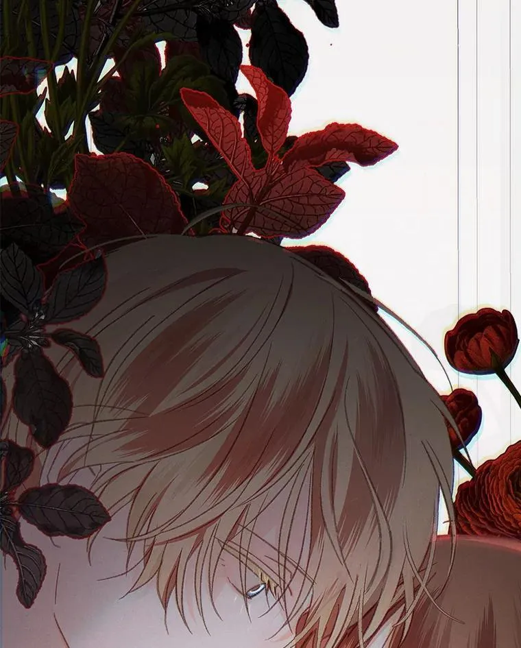 28.空寂皮囊 第99页
