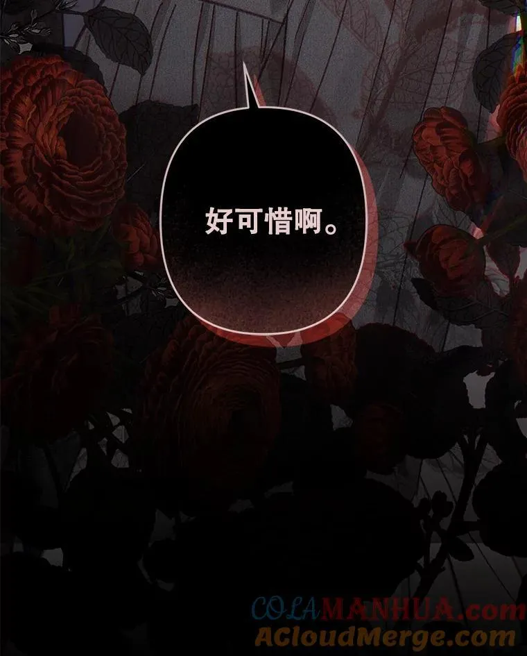 28.空寂皮囊 第101页