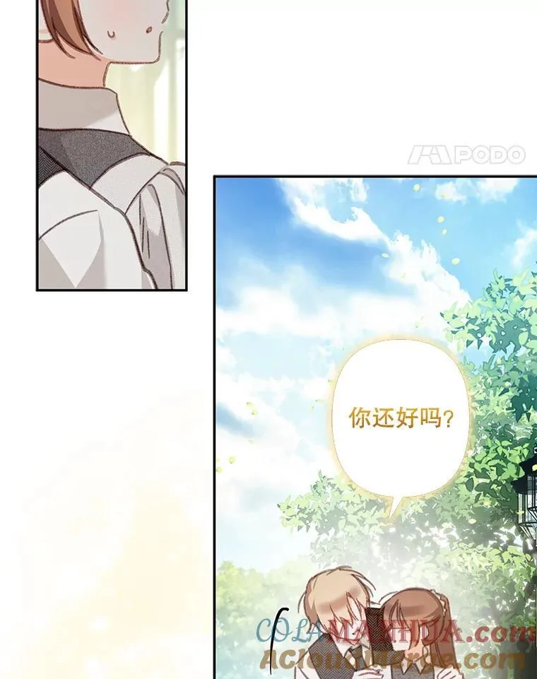 31.庭院凋零 第29页