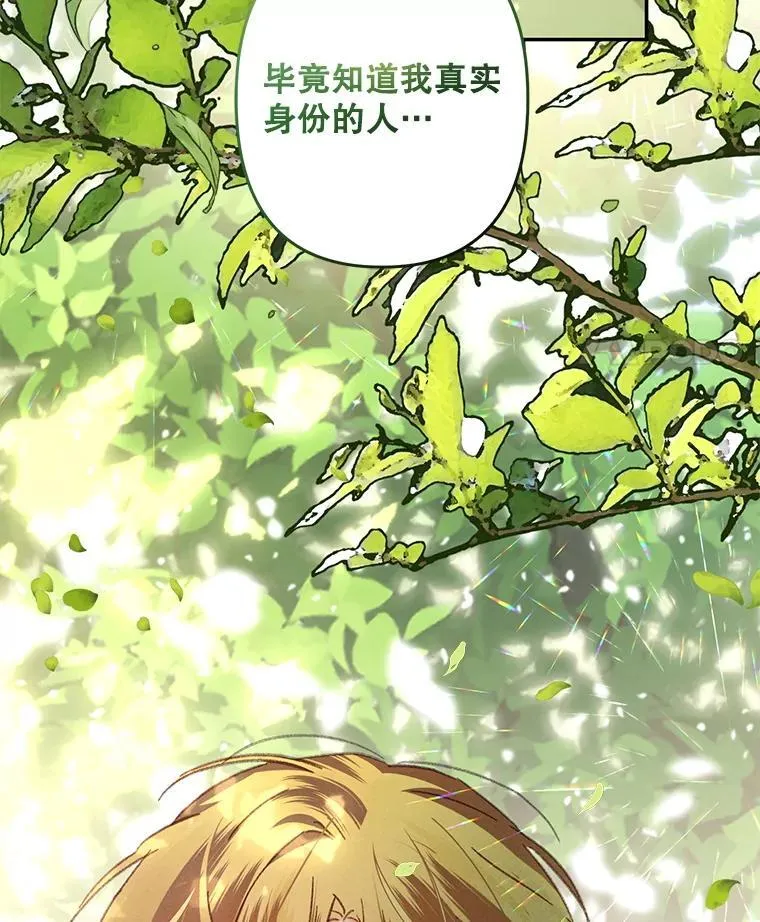 31.庭院凋零 第56页
