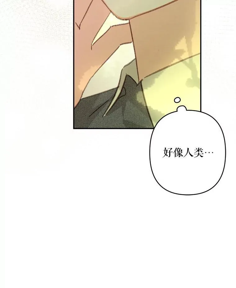 31.庭院凋零 第67页