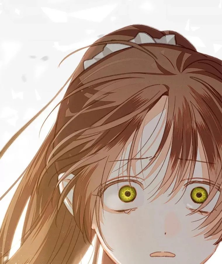 33.月光静谧 第48页