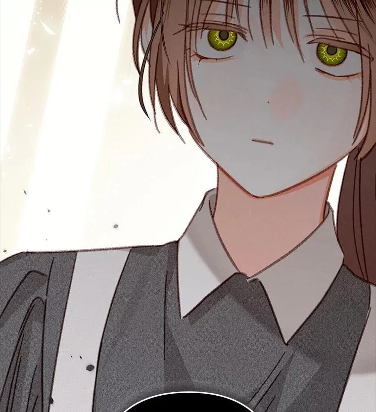 40.此间禁烟 第16页