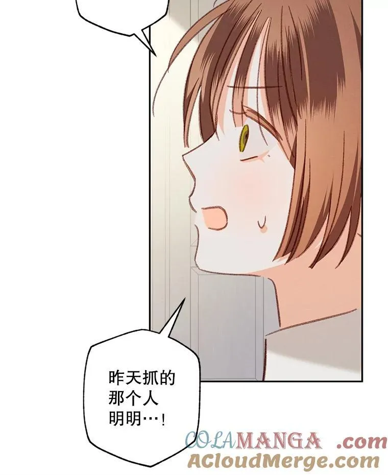 41.天性使然 第41页
