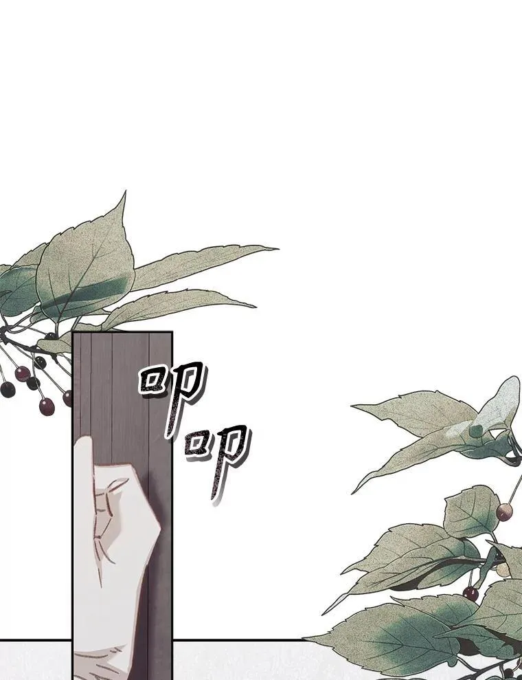 42.烛火微漾 第12页