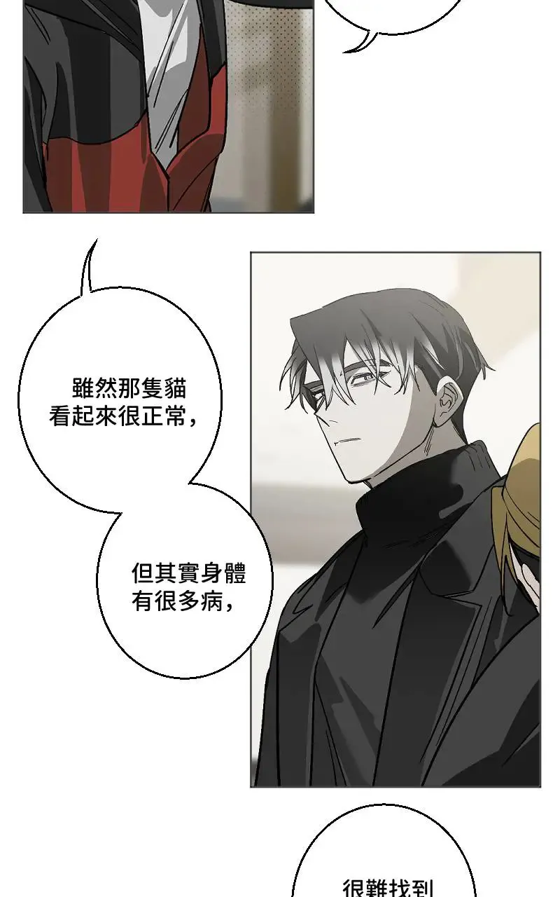 第47话 第22页