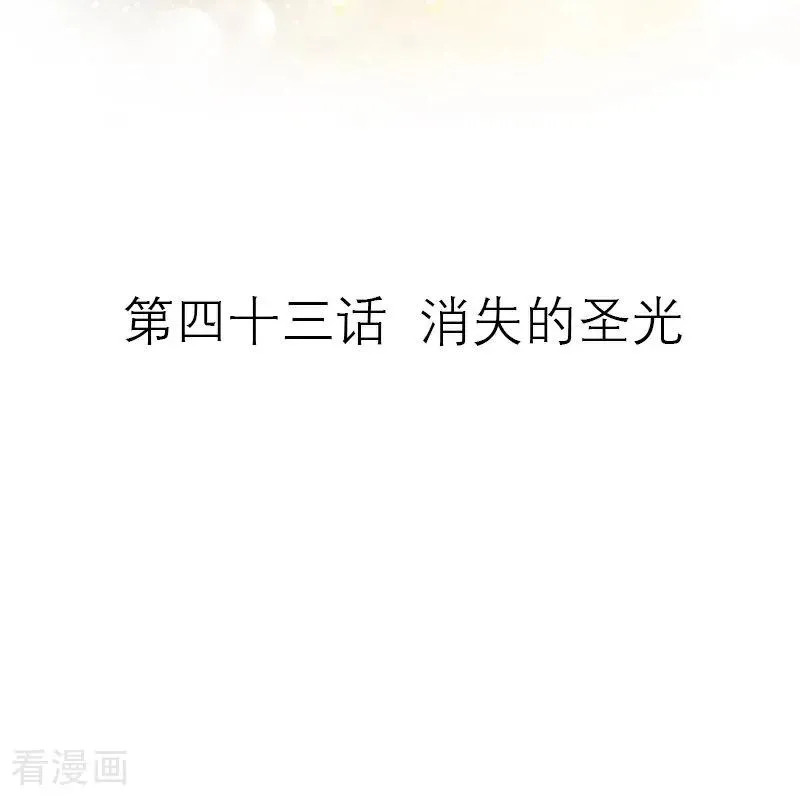 第43话 消失的圣光 第2页