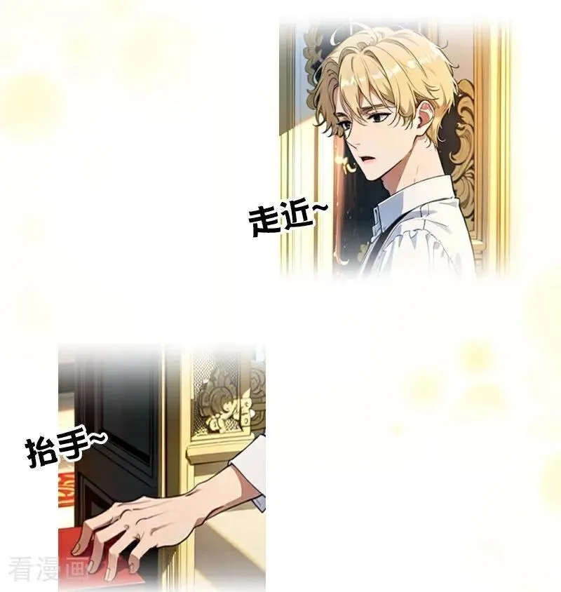 第43话 消失的圣光 第4页