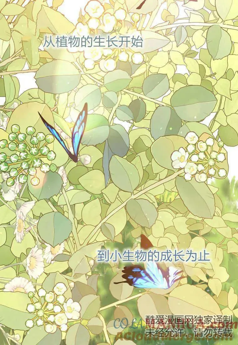 第35话 第25页