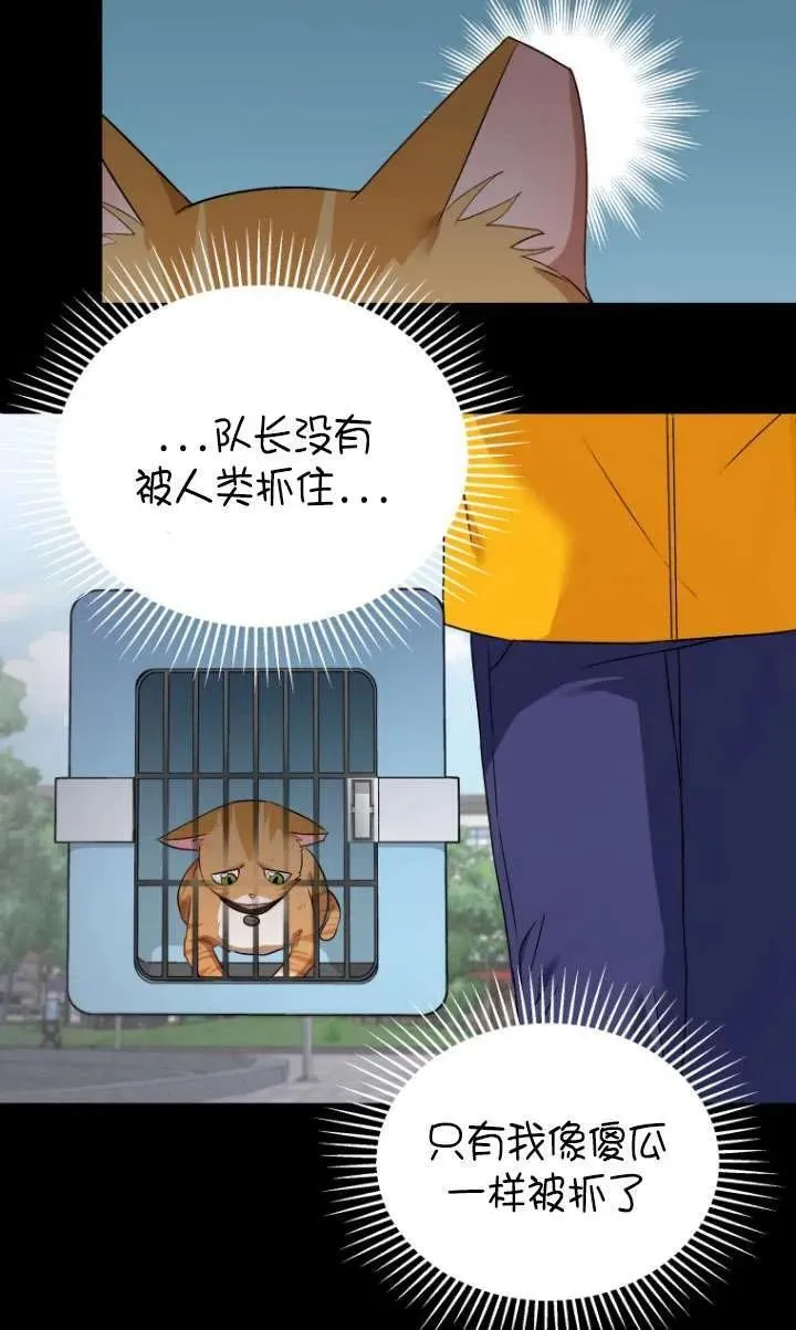 第07话 第56页