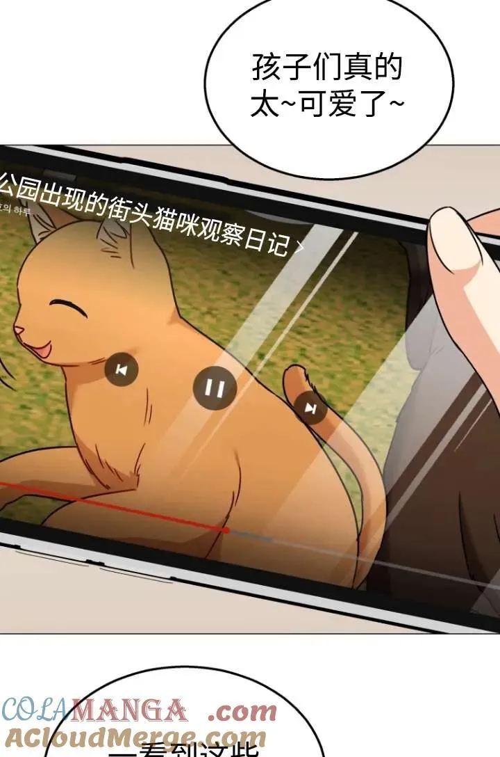 第39话 第17页