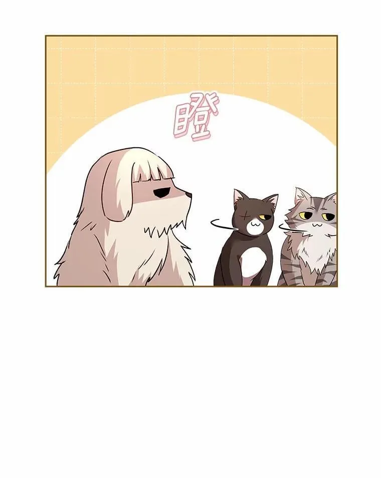 60.我的哥哥（1） 第12页