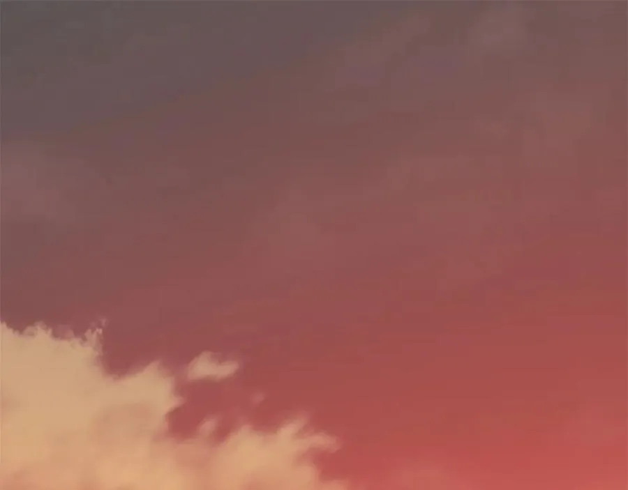 第11话 更胜一筹 第259页