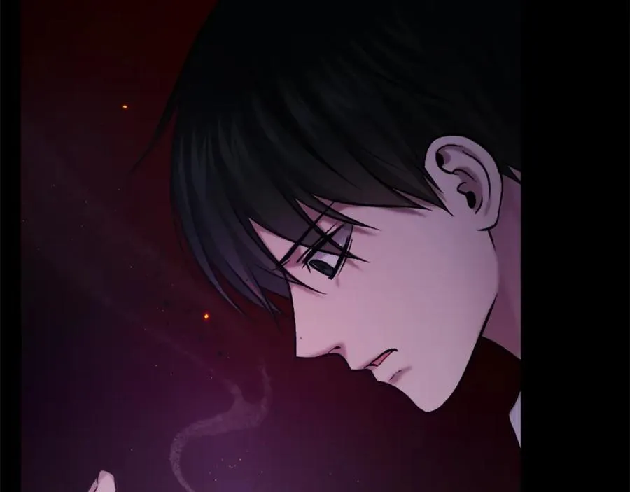 第19话 蓝色火焰 第215页