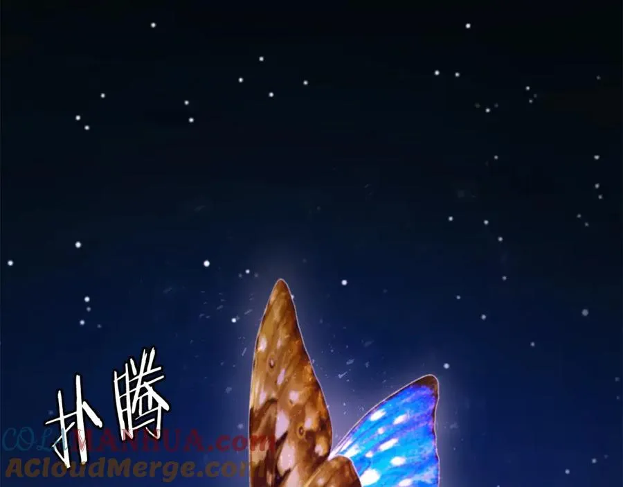 第36话 王之路 第137页