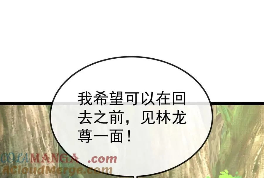 第84话 面见林龙尊 第165页