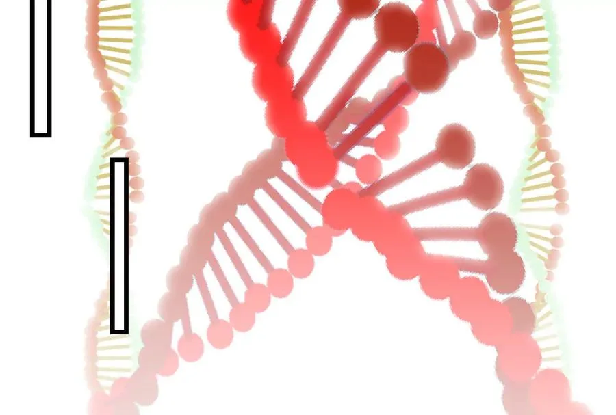 085话：修补林修 第83页