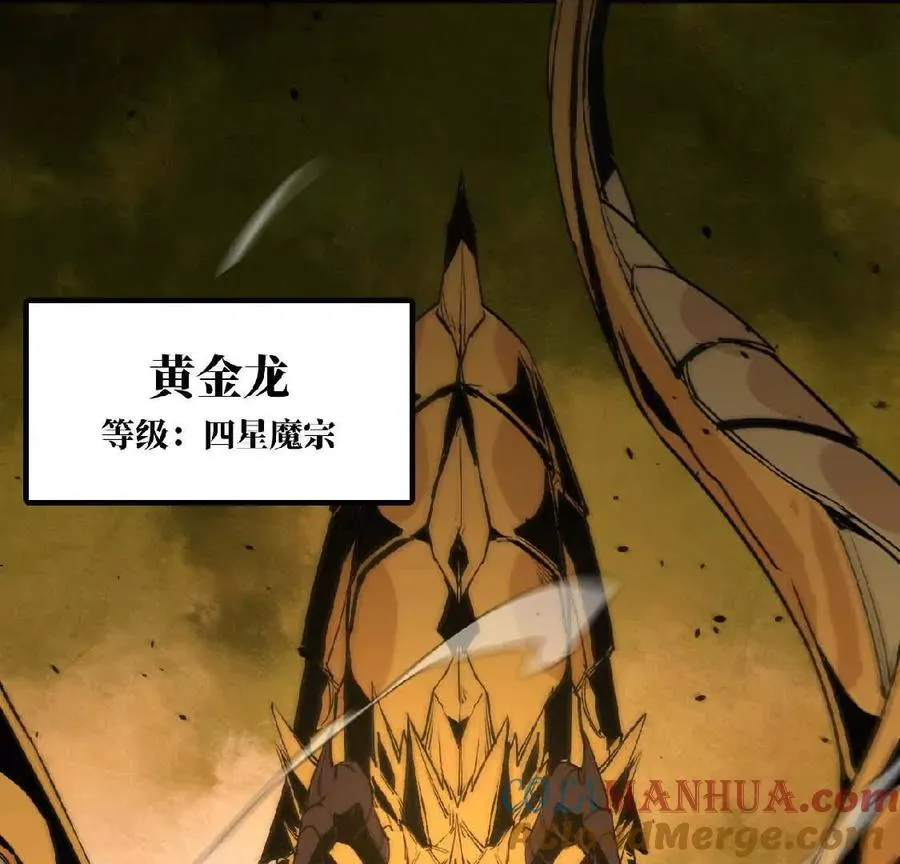 27 黄金龙 第76页