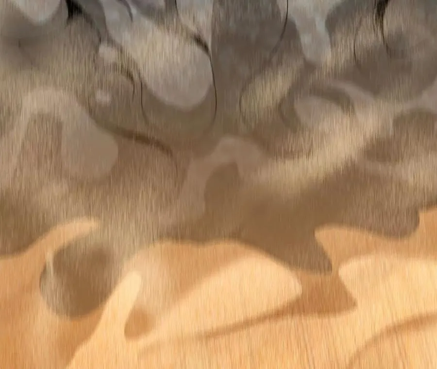 111 更新03 第75页