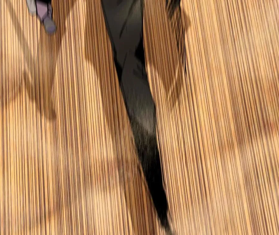 111 更新03 第77页