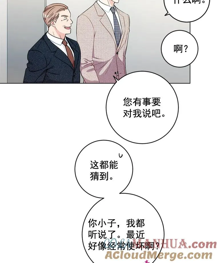 7.初步肯定 第13页