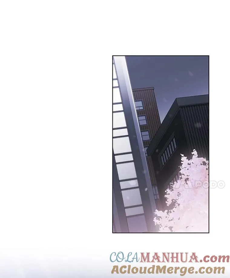 41.忙碌的日程 第46页
