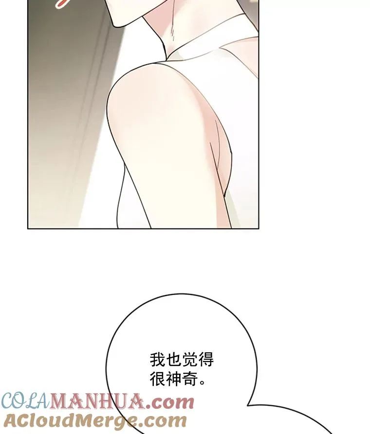 50.未来集团 第19页